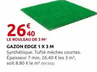 Gazon edge 1 x 3 m