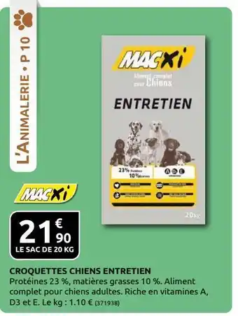 Croquettes pour chien entretien