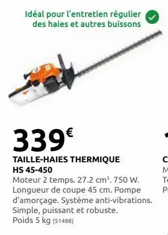 Rural Master Taille-haie thermique hs 45-450 offre
