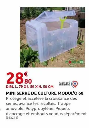 Rural Master Mini serre de culture modul`o 60 offre