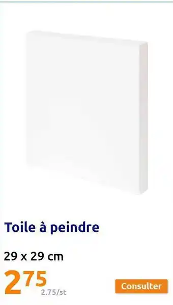 Action Toile à peindre offre