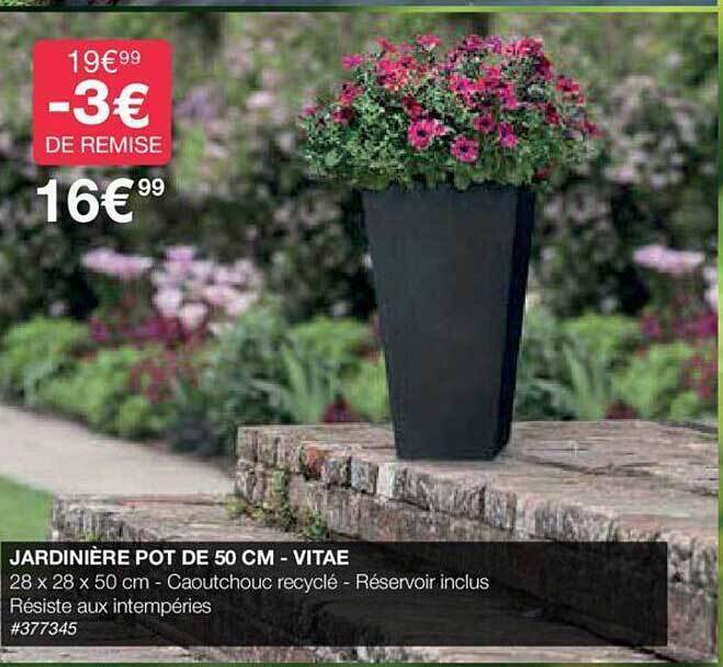 Promo Jardinière pot de 50 cm vitae chez Costco