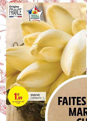 Endive