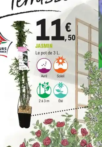 E.Leclerc Jardi Jasmin offre