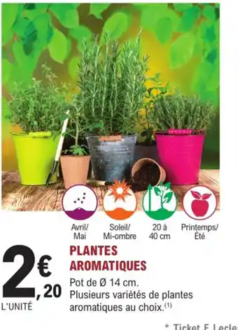 E.Leclerc Jardi Plantes aromatiques offre