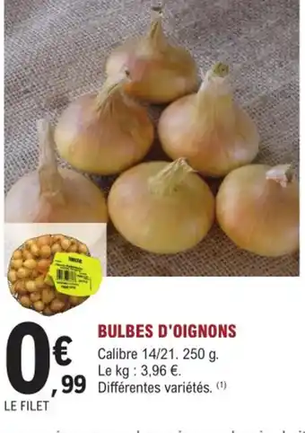 Bulbes d'oignons
