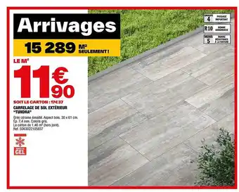 Brico Dépôt Carrelage de sol extérieur offre