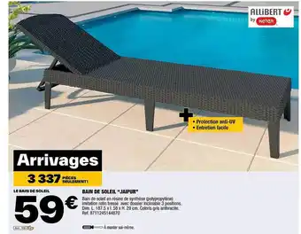 Brico Dépôt Bain de soleil offre