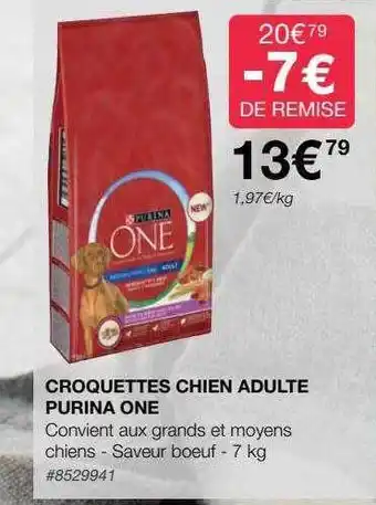 Croquettes chien adulte purina one