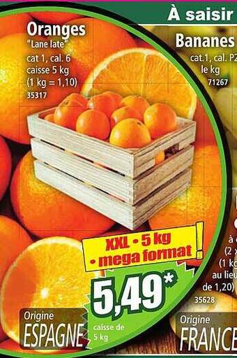 Norma Oranges offre