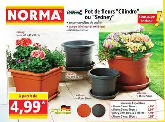 Norma Pot de fleurs offre