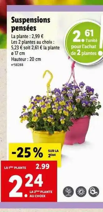 Lidl Suspensions pensées offre