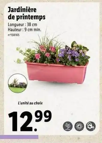 Jardinière de printemps