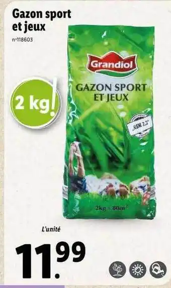 Lidl Gazon sport et jeux offre