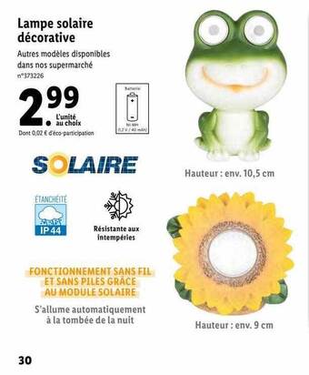 Lidl Lampe solaire décorative offre