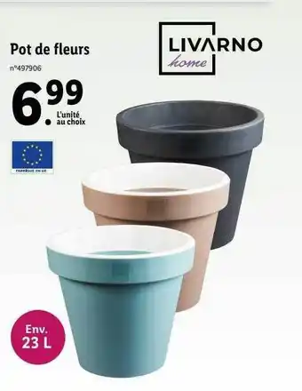 Lidl Pot de fleurs livarno home offre
