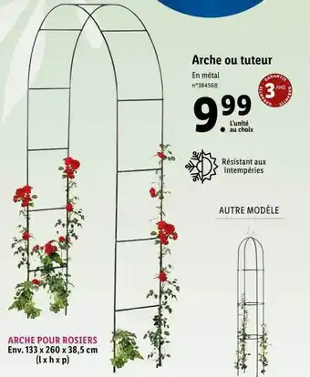 Lidl Arche ou tuteur offre
