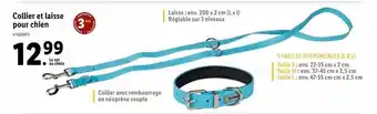 Collier et laisse pour chien