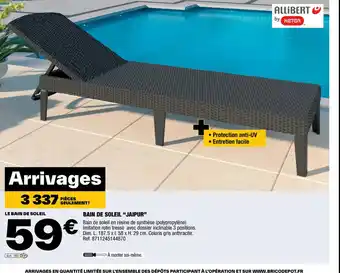 Brico Dépôt Bain de soleil jaipur offre