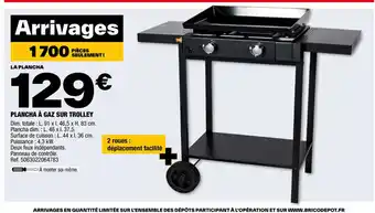 Brico Dépôt Plancha à gaz sur trolley offre