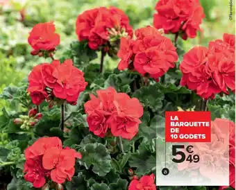 Carrefour La barquette de 10godets géranium offre