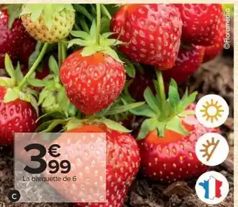 Carrefour Fraisier offre