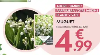 Muguet