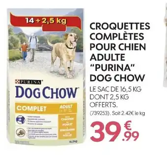 Truffaut Croquettes Complètes Pour Chien Adulte "Purina" Dog Chow offre