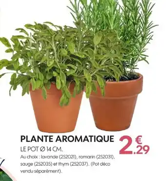 Truffaut Plante Aromatique offre