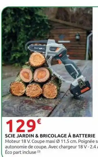 Rural Master Scie jardin & bricolage a batterie offre