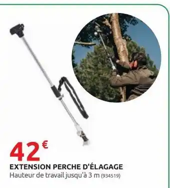 Rural Master Extension perche d´elagage offre