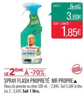 Match Spray Flash Propreté MR Propre offre
