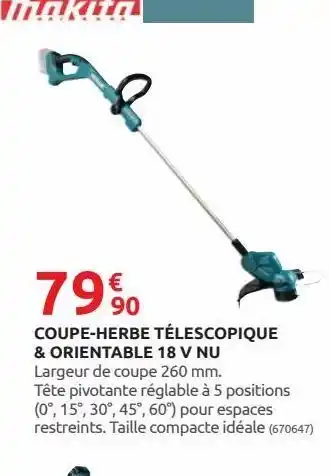 Rural Master Coupe-herbes telescopique & orientable 18 v nu offre