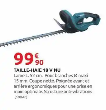Rural Master Taille-haie 18 v nu offre