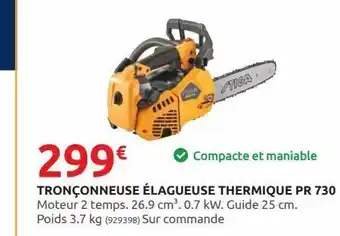 Rural Master Tronçonneuse elagueuse thermique pr 730 offre