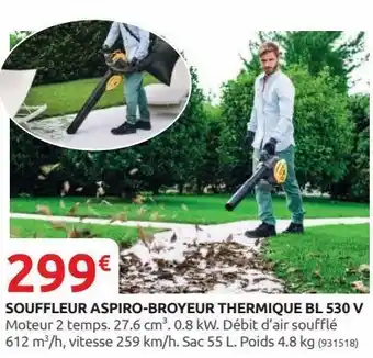 Rural Master Souffleur aspiro-broyeur tehrmique bl 530 v offre