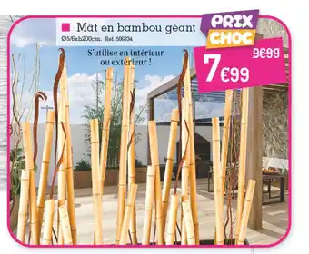 Kandy Mât en bambou géant offre
