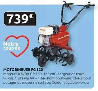 Rural Master Motobineuse fg 320 offre