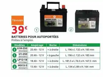 Batteries pour autoportées temver