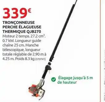Rural Master Tronçonneuse perche élagueuse thermique qjb270 offre