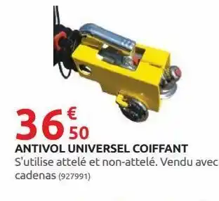 Rural Master Antivol universel coiffant offre
