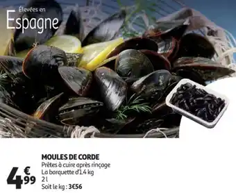 Auchan Moules de corde offre