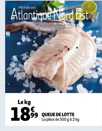 Auchan Queue de lotte offre