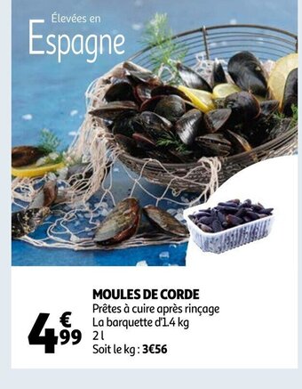 Auchan Moules de corde offre