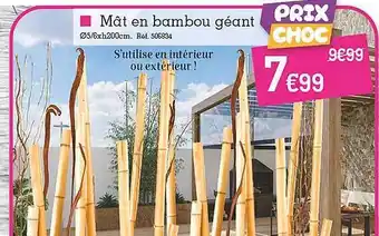 Kandy Mât en bambou géant offre