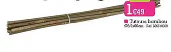 Kandy Tuteurs bambou offre