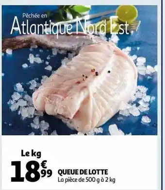 Auchan Queue de lotte offre