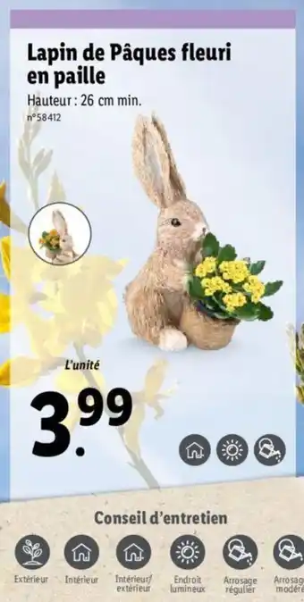 Lidl Lapin de Pâques fleuri en paille offre
