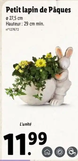 Lidl Petit lapin de Pâques offre