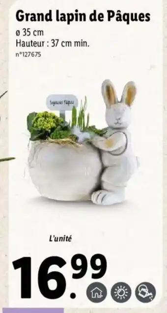 Lidl Grand lapin de Paques offre